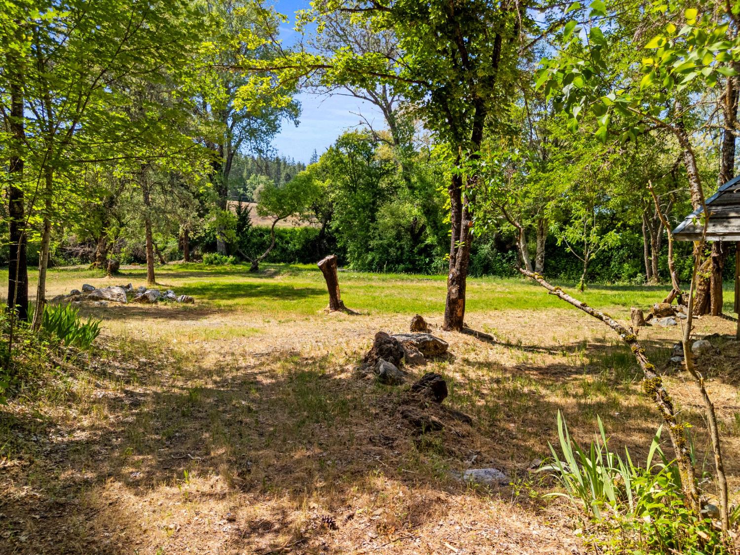 13433 Newtown Road Nevada City, CA 95959 - Photo 16 of 33 a view of a yard with swimming pool