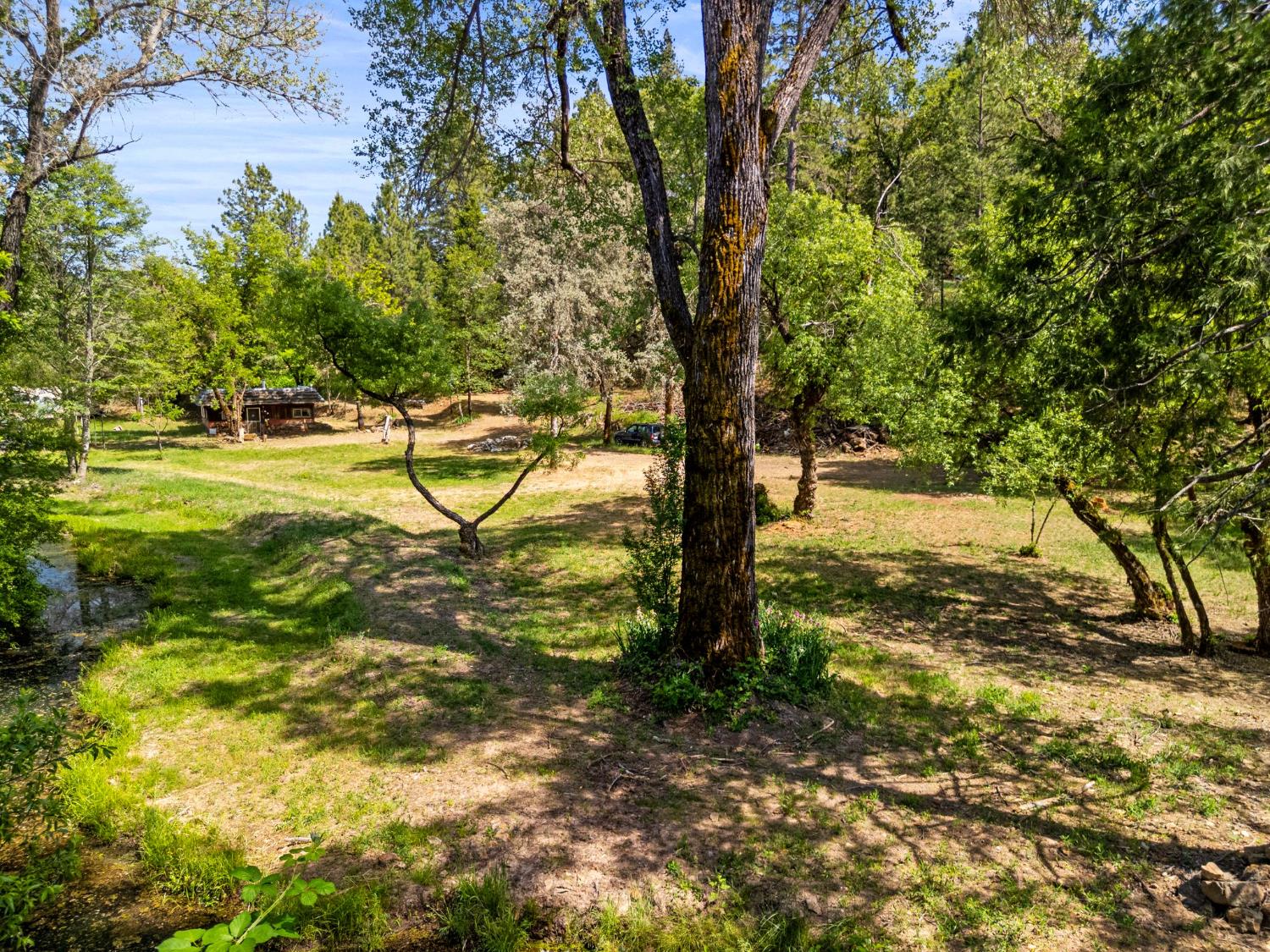 13433 Newtown Road Nevada City, CA 95959 - Photo 17 of 33 a view of a yard with swimming pool