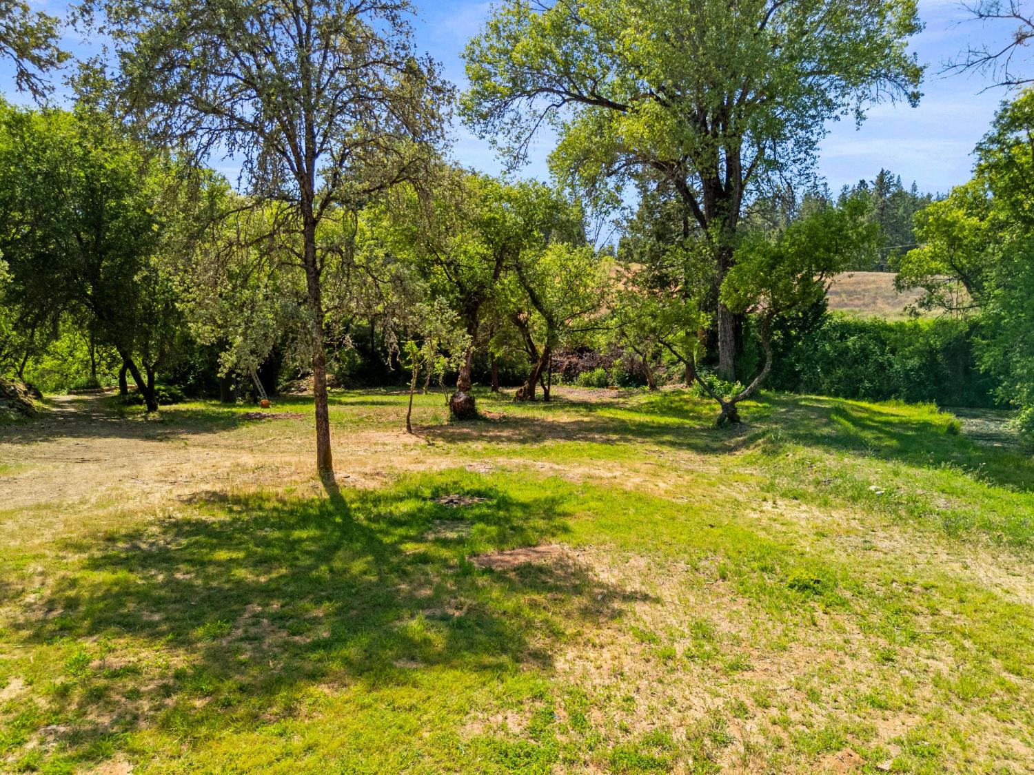 13433 Newtown Road Nevada City, CA 95959 - Photo 18 of 33 a front view of a house with a yard