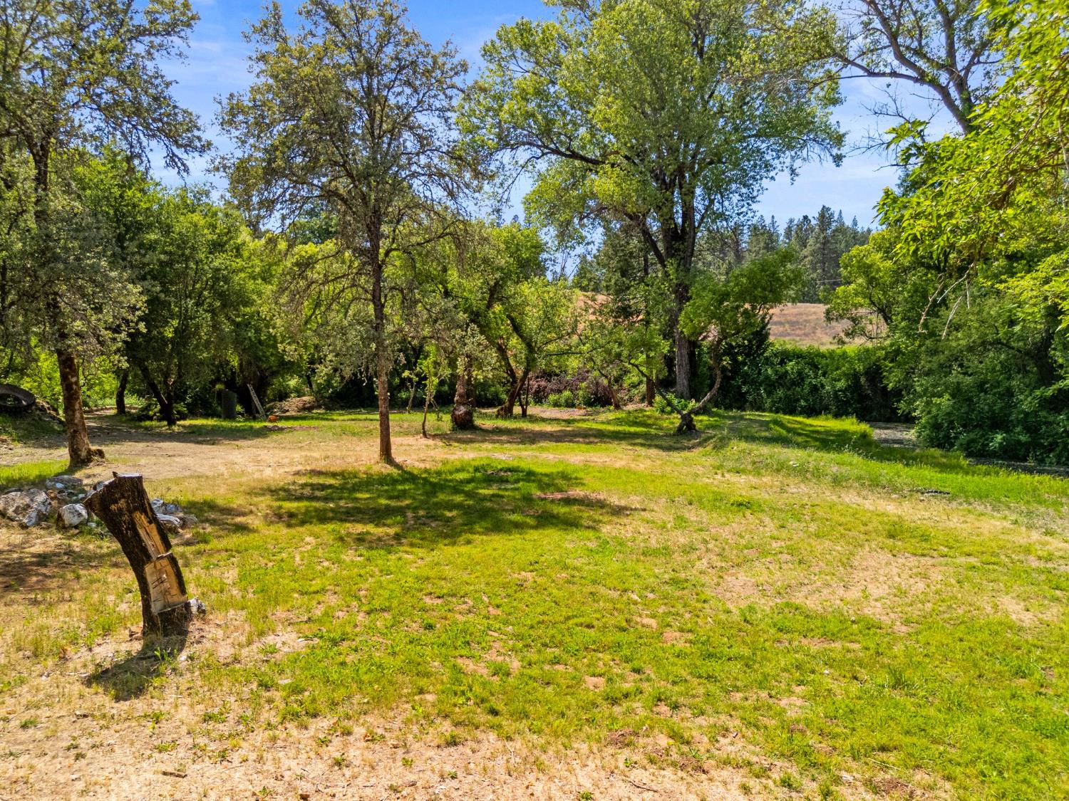 13433 Newtown Road Nevada City, CA 95959 - Photo 19 of 33