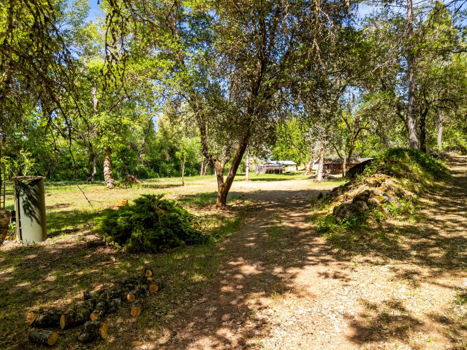 13433 Newtown Road Nevada City, CA 95959 - Photo 21 of 33 a view of yard with tree
