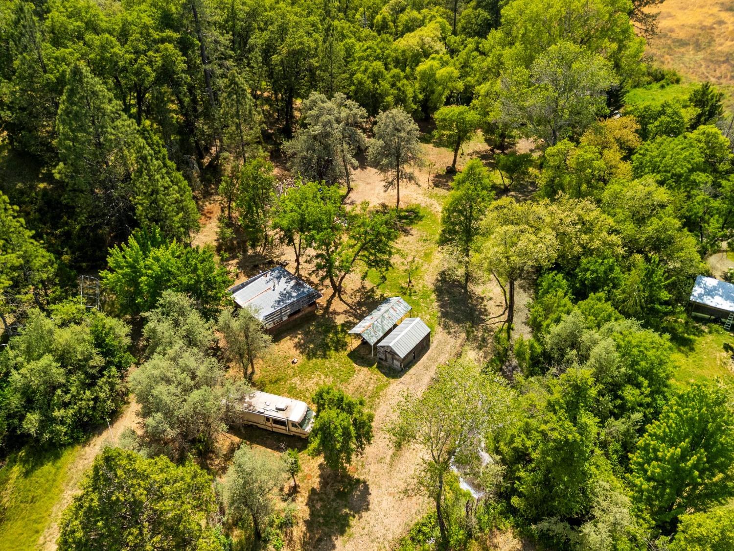 13433 Newtown Road Nevada City, CA 95959 - Photo 22 of 33 a view of a yard