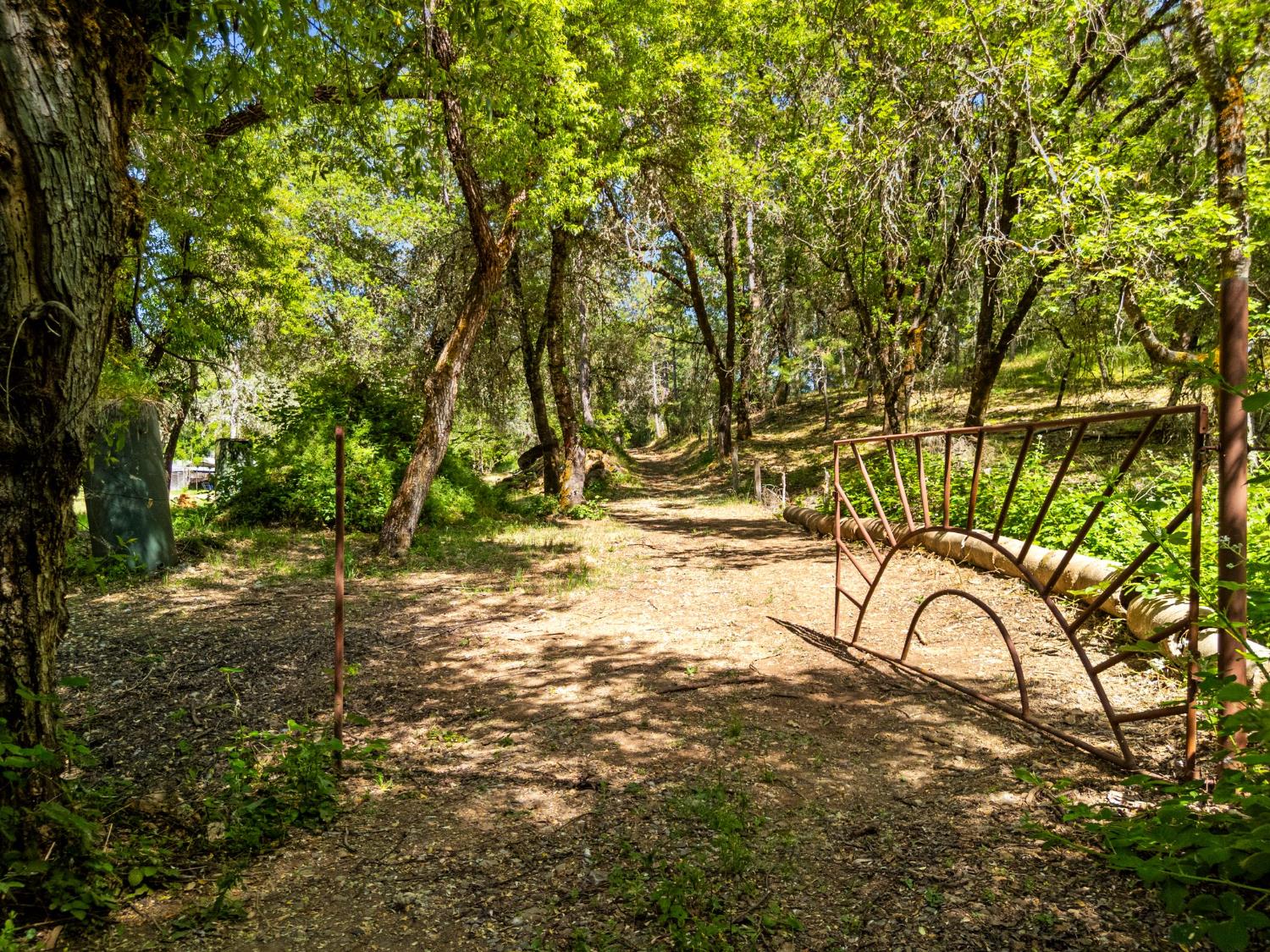 13433 Newtown Road Nevada City, CA 95959 - Photo 5 of 33 a backyard of a house with lots of green space
