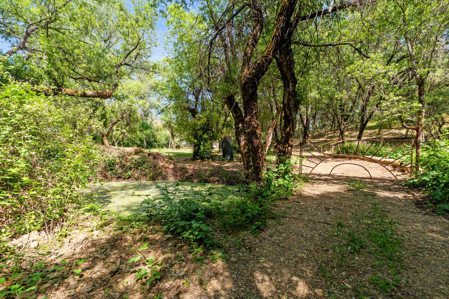 13433 Newtown Road Nevada City, CA 95959 - Photo 10 of 33 a view of backyard with green space
