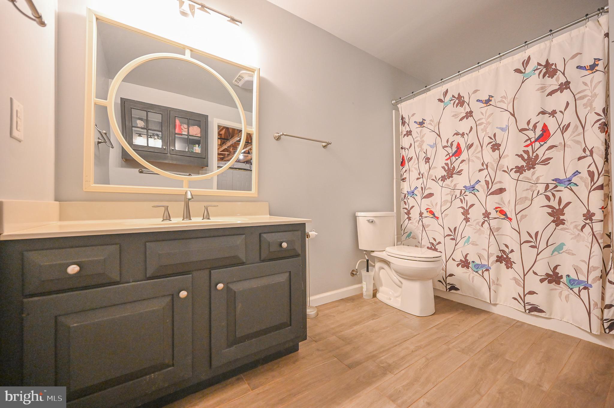 185 Buck Road Linden, VA 22642 - Photo 34 of 44 Full bathroom 3