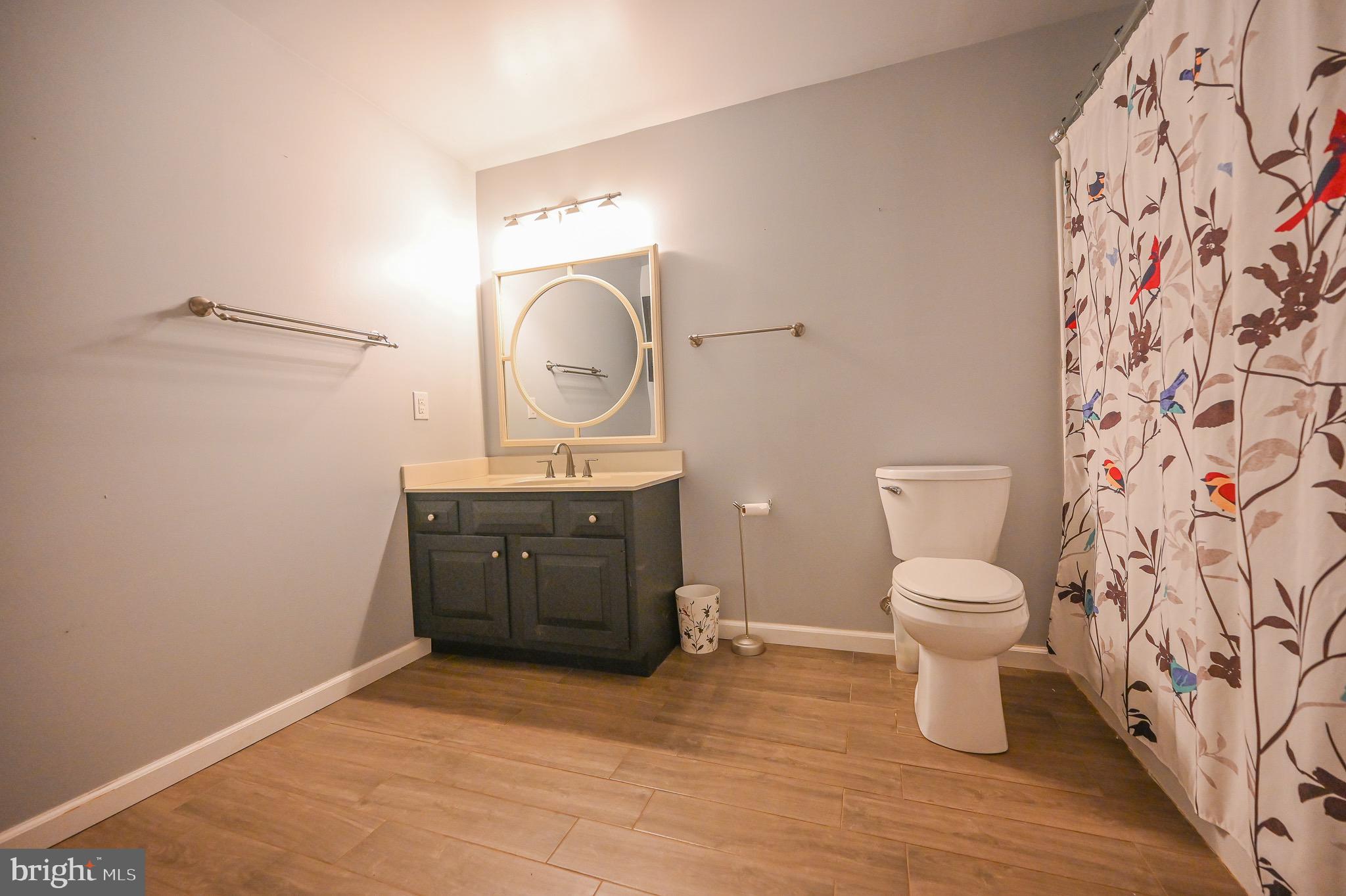 185 Buck Road Linden, VA 22642 - Photo 35 of 44 Full Bathroom 3