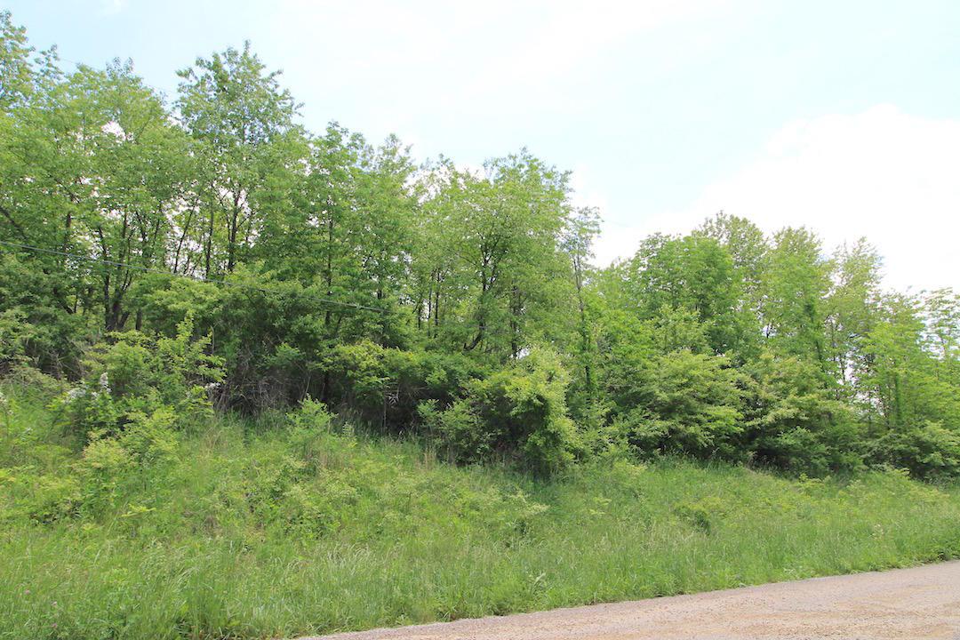 0 Appleman Road Southeast Newark, OH 43056 - Photo 8 of 15