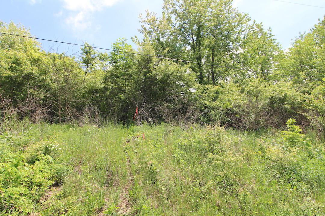 0 Appleman Road Southeast Newark, OH 43056 - Photo 9 of 15