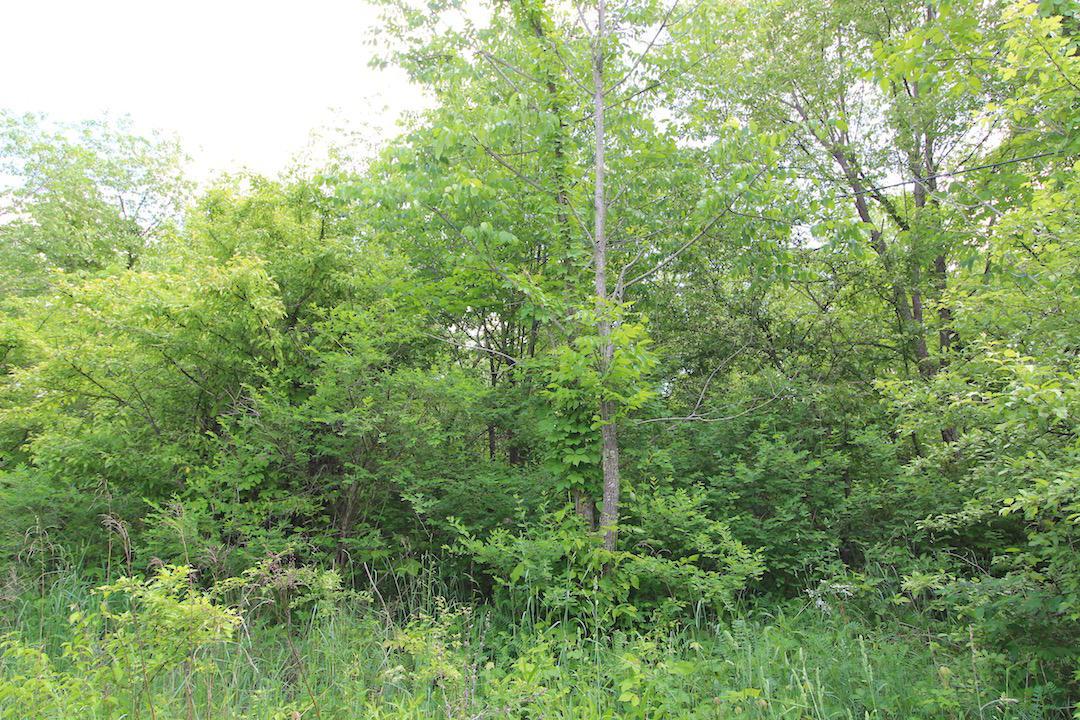 0 Appleman Road Southeast Newark, OH 43056 - Photo 10 of 15