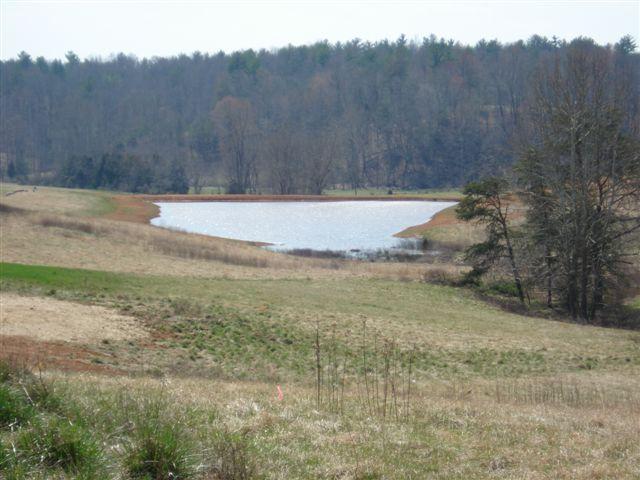 150 Dudley Creek Road Hardy, VA 24101 - Photo 7 of 7 View of pond