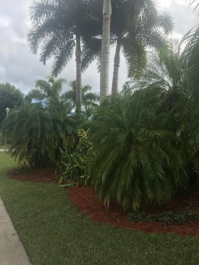 21173 Raindance Lane Boca Raton, FL 33428 - Photo 9 of 48 SIDEYARD (CORNER LANDSCAPE)