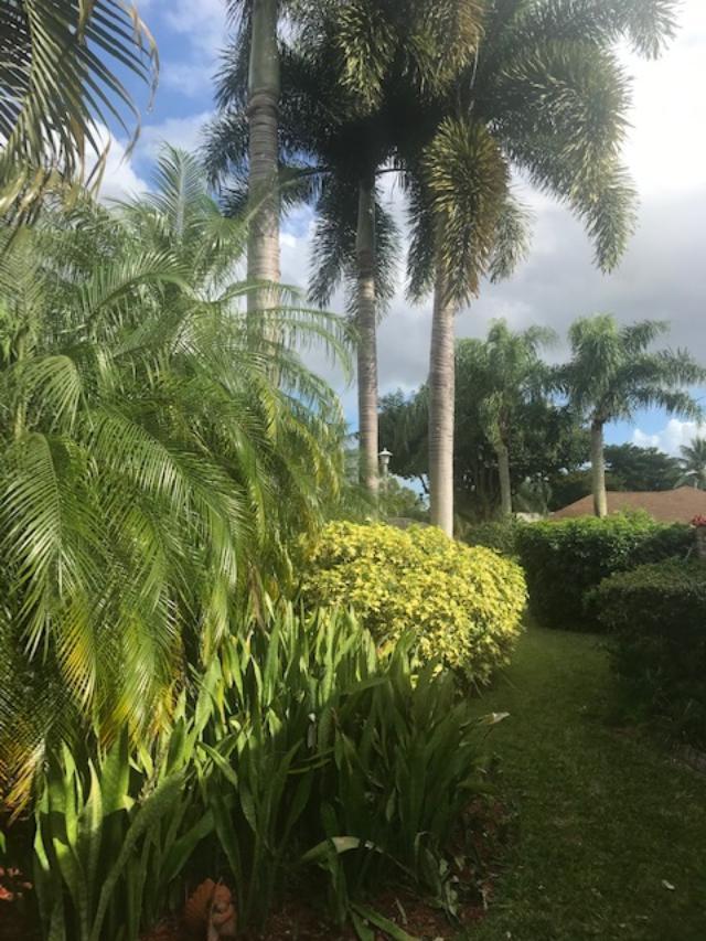 21173 Raindance Lane Boca Raton, FL 33428 - Photo 10 of 48 SIDEYARD (ADD'L. CORNER LANDSCAPE)