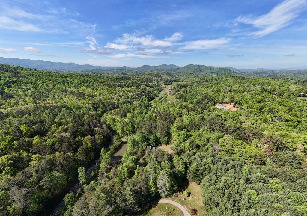 1493 Greasy Creek Road Brasstown, NC 28902 - Photo 41 of 51