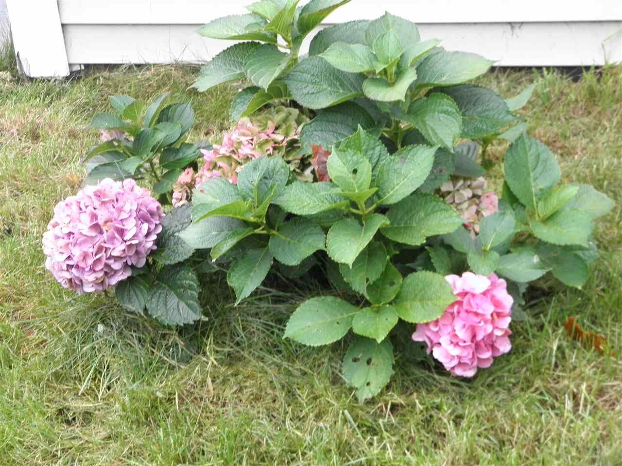 1390 Raymond Road Danby, VT 05739 - Photo 11 of 40 Gallery Image 11