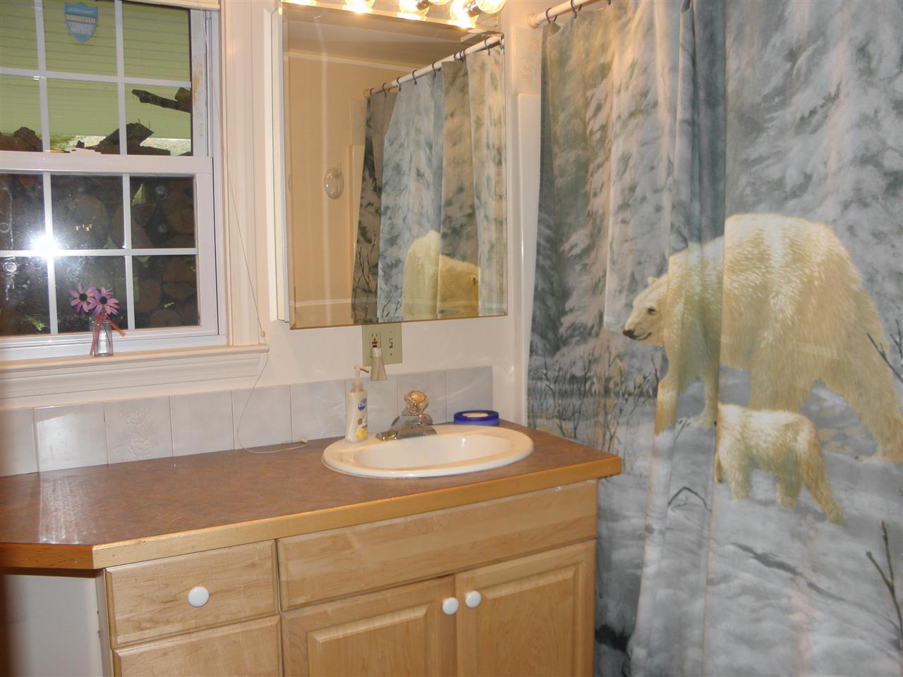 1390 Raymond Road Danby, VT 05739 - Photo 27 of 40 Gallery Image 27
