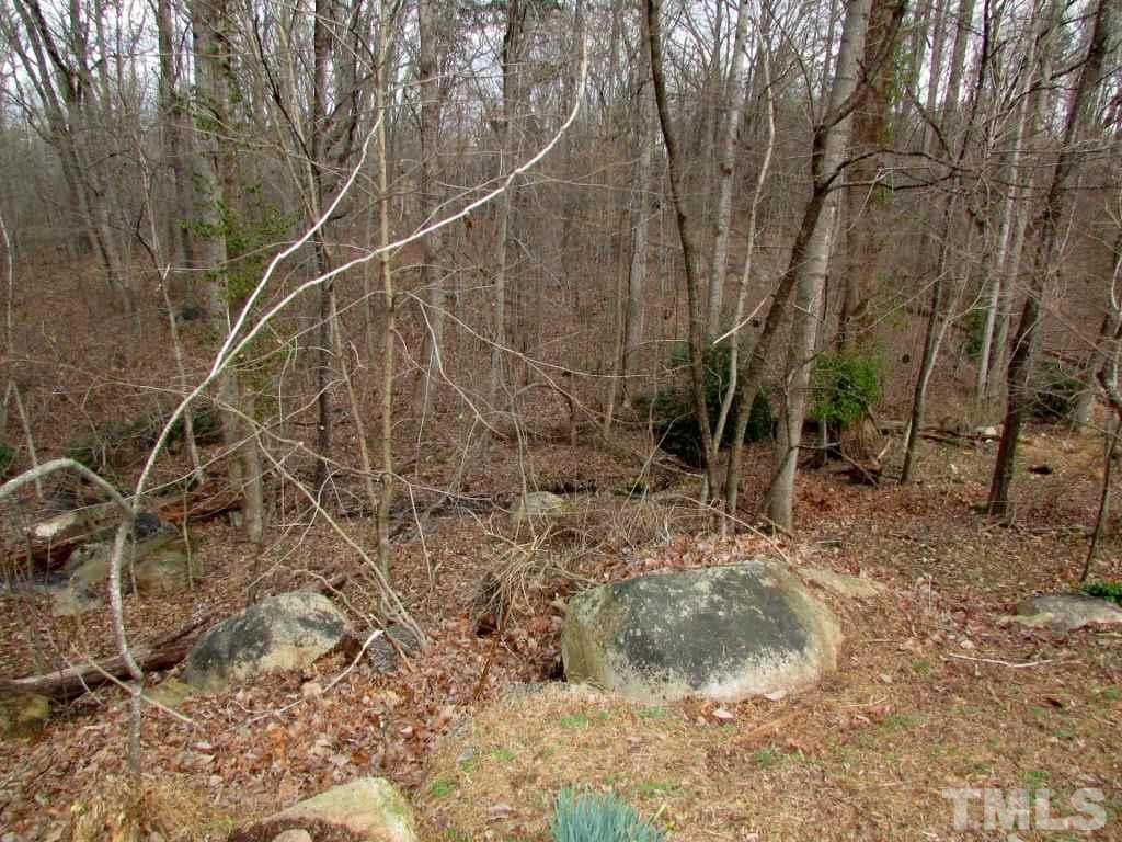 726 Chub Lake Road Roxboro, NC 27573 - Photo 22 of 24