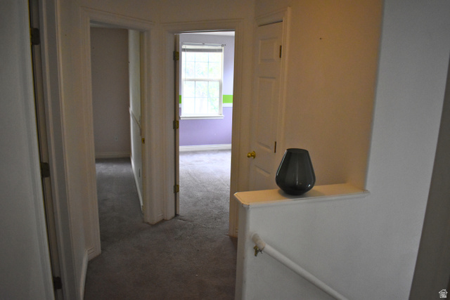 3327 East Windhover Road Eagle Mountain, UT 84005 - Photo 22 of 38 Carpeted hallway featuring multiple doorways with white trim and paneled doors, leading to rooms with individual window exposures