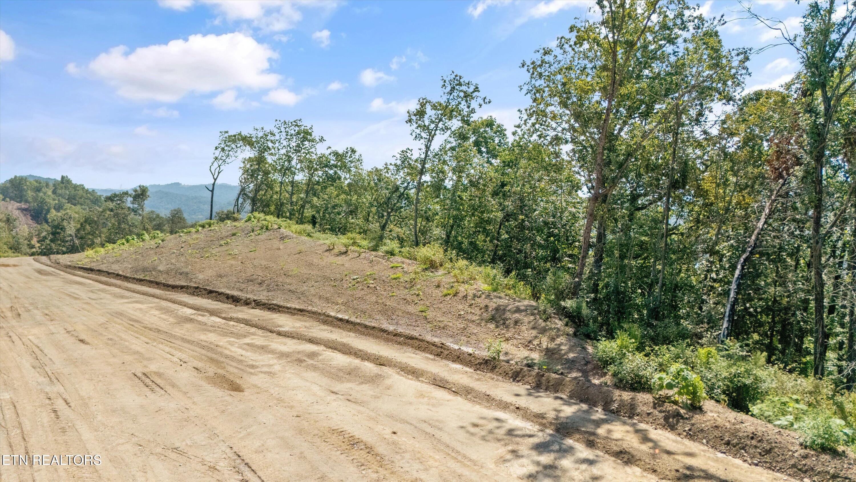 Lot 101 Sommet Ridge Tazewell, TN 37879 - Photo 14 of 19 Aerial