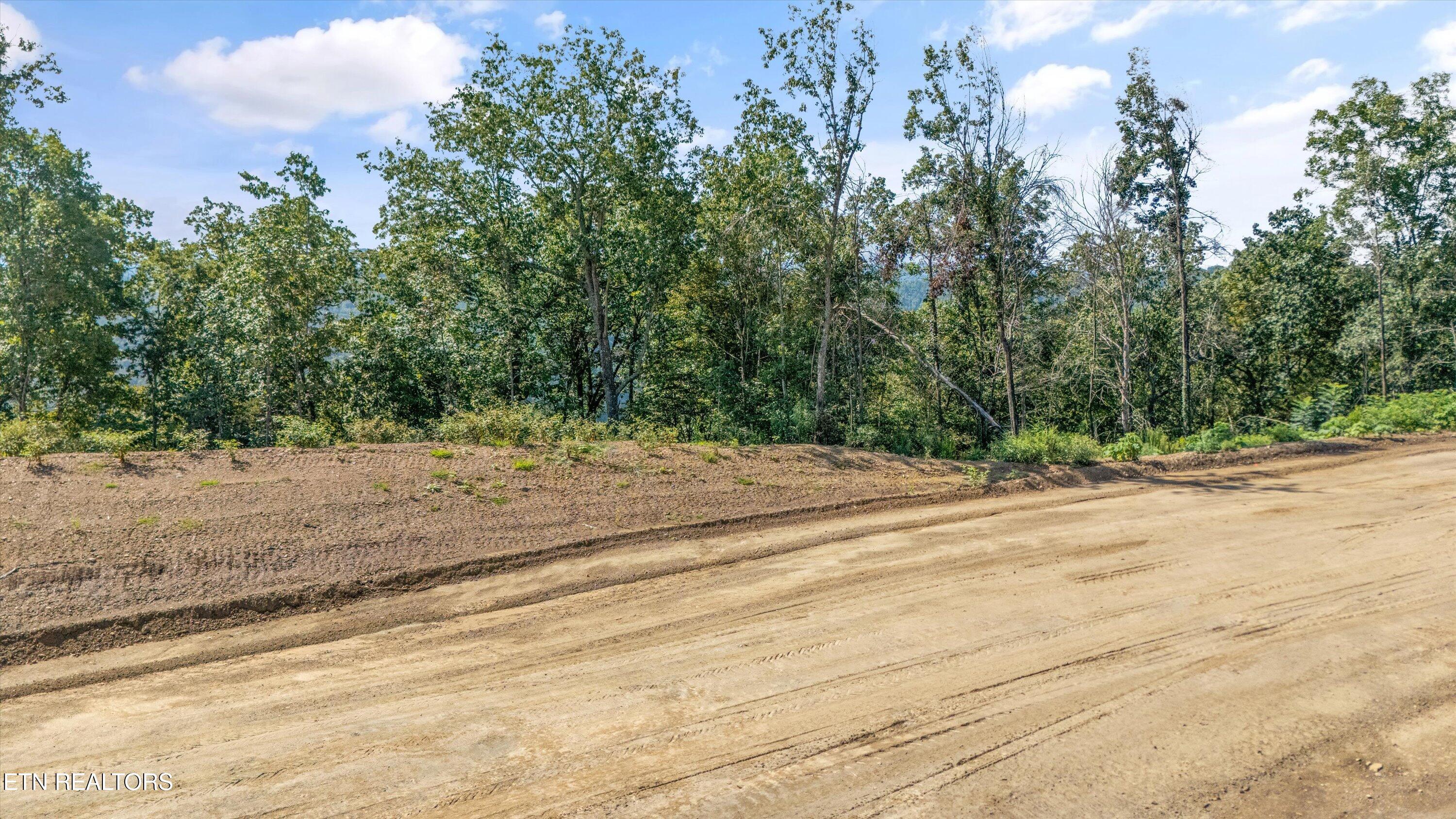 Lot 101 Sommet Ridge Tazewell, TN 37879 - Photo 15 of 19 Aerial
