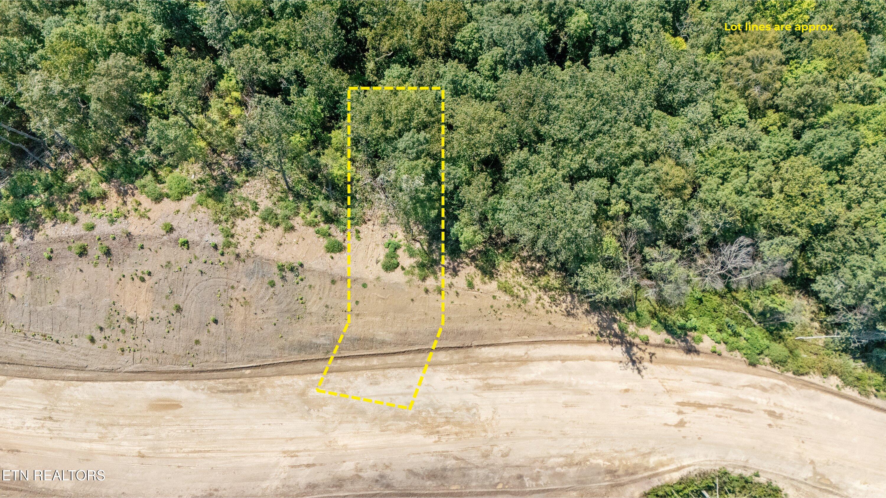 Lot 101 Sommet Ridge Tazewell, TN 37879 - Photo 8 of 19 Aerial