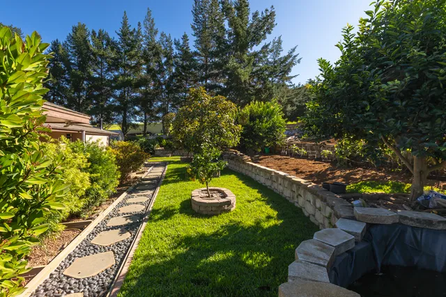 a view of a backyard with couches plants and large trees