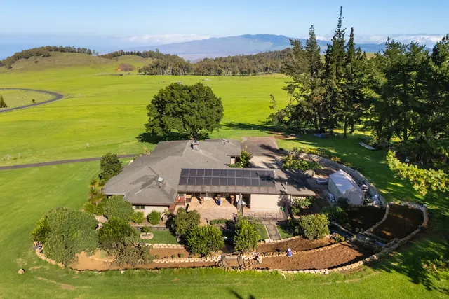 a view of a city with ocean view
