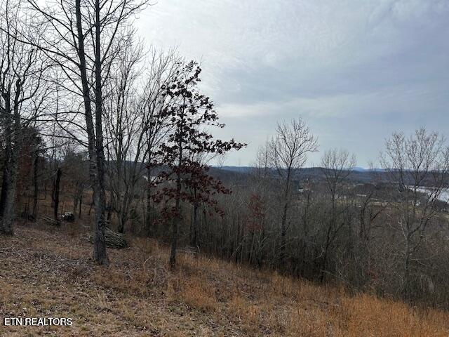 James Ferry Road Kingston, TN 37763 - Photo 2 of 9 20250219215722442083000000-o