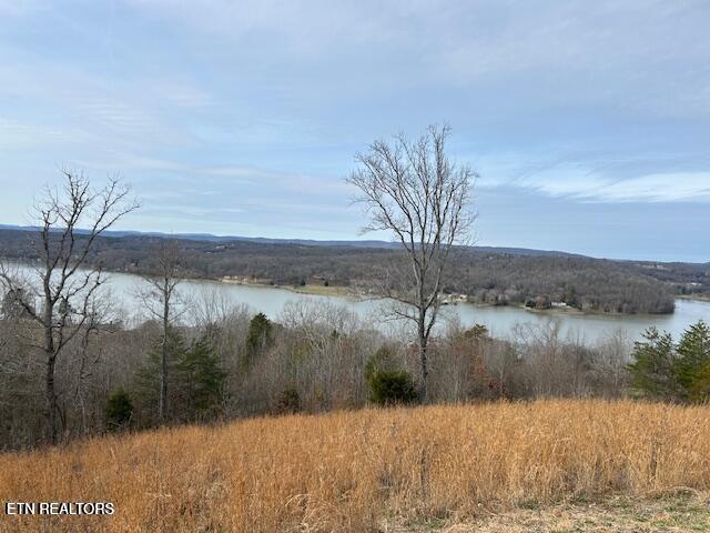 James Ferry Road Kingston, TN 37763 - Photo 3 of 9 20250219215723096806000000-o