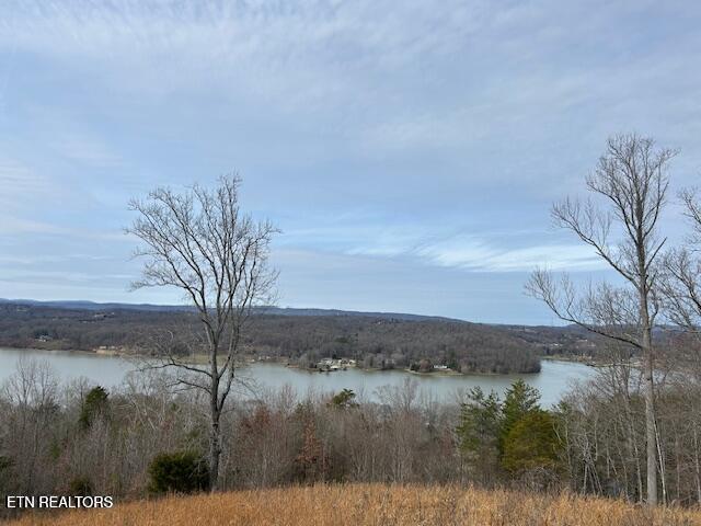 James Ferry Road Kingston, TN 37763 - Photo 4 of 9 20250219215723755166000000-o