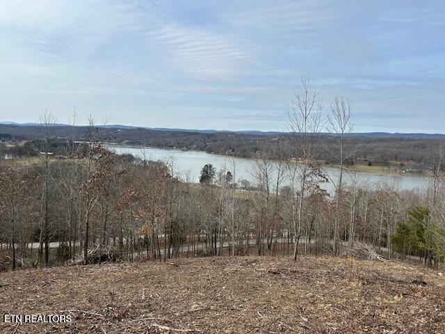 James Ferry Road Kingston, TN 37763 - Photo 5 of 9 20250219215724424397000000-o