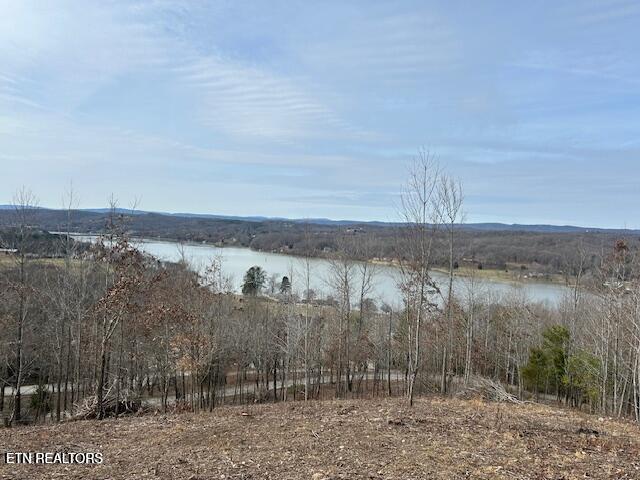 James Ferry Road Kingston, TN 37763 - Photo 6 of 9 20250219215725052236000000-o
