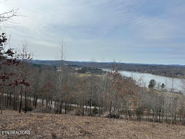 James Ferry Road Kingston, TN 37763 - Photo 7 of 9 20250219215725635528000000-o