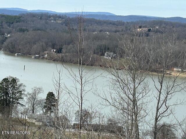 James Ferry Road Kingston, TN 37763 - Photo 8 of 9 20250219215726225127000000-o