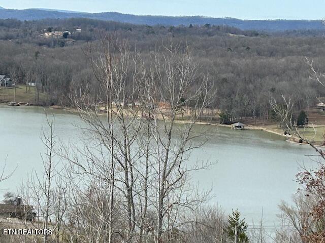 James Ferry Road Kingston, TN 37763 - Photo 9 of 9 20250219215726889050000000-o
