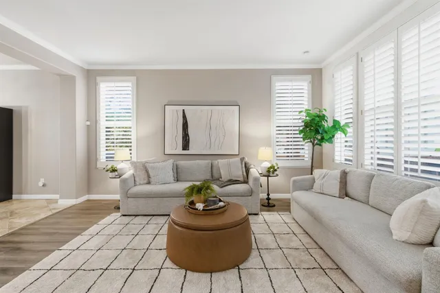 a living room with furniture and a potted plant