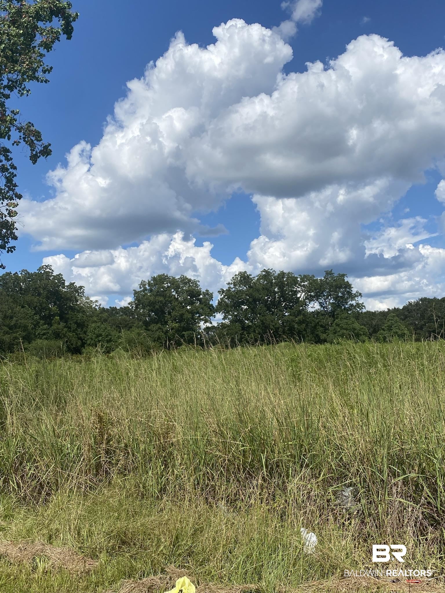 1 Zelma Wright Lane Atmore, AL 36502 - Photo 4 of 13