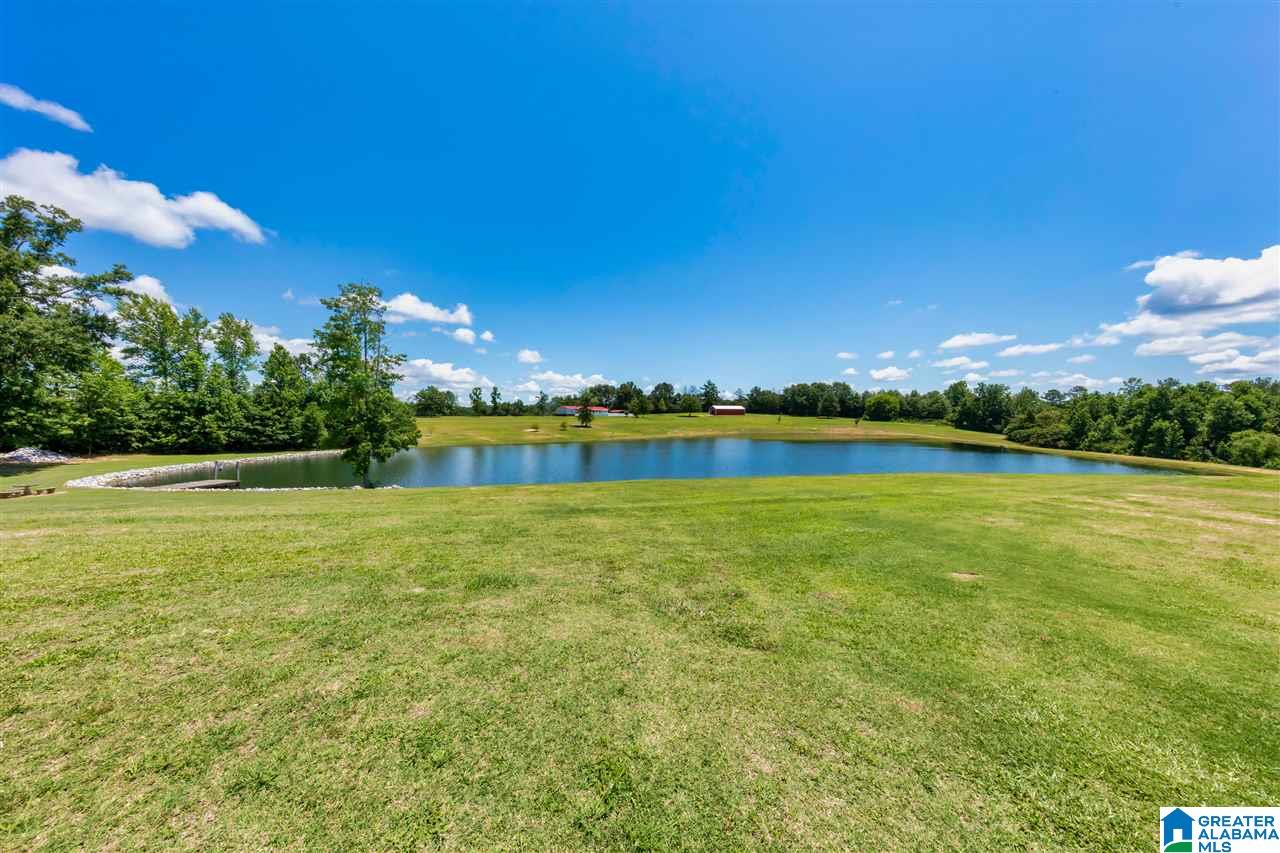 1210 County Road 97 Verbena, AL 36091 - Photo 15 of 50