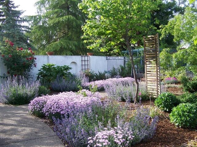 3800 Walker Creek Road Central Point, OR 97502 - Photo 31 of 35 Spring time in the courtyard