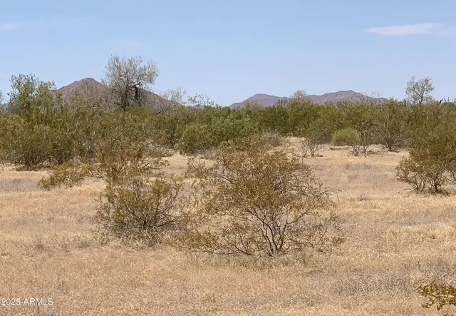 $56,000 | 0 West Wildwood 4 Road, Maricopa, AZ 85139