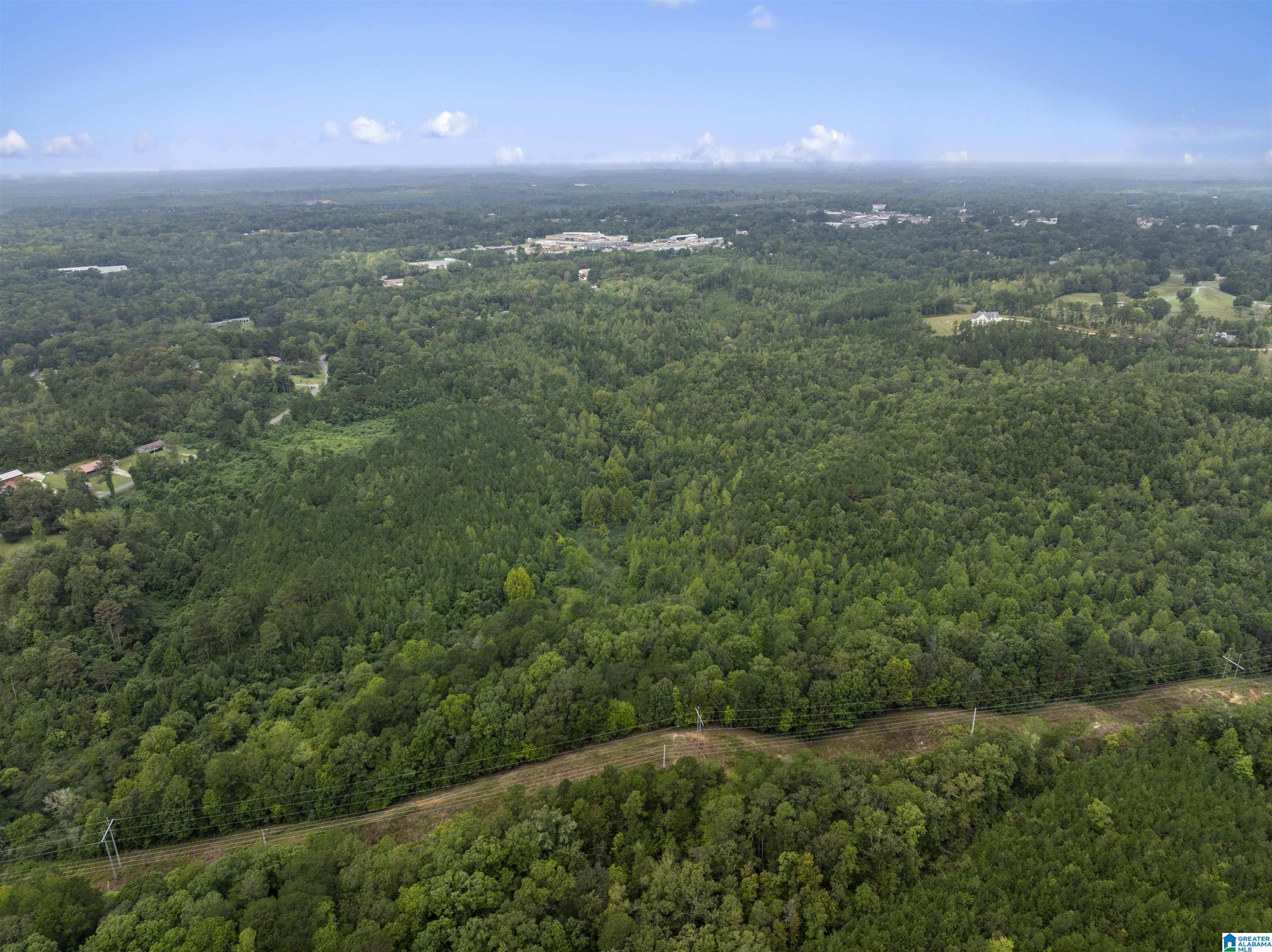 0 Beech Grove Road, Unit 1 Haleyville, AL 35565 - Photo 6 of 12