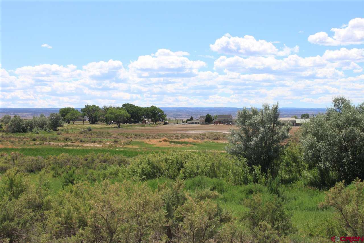 13580 25 Mesa Road Delta, CO 81416 - Photo 14 of 33 a view of a field of grass and trees
