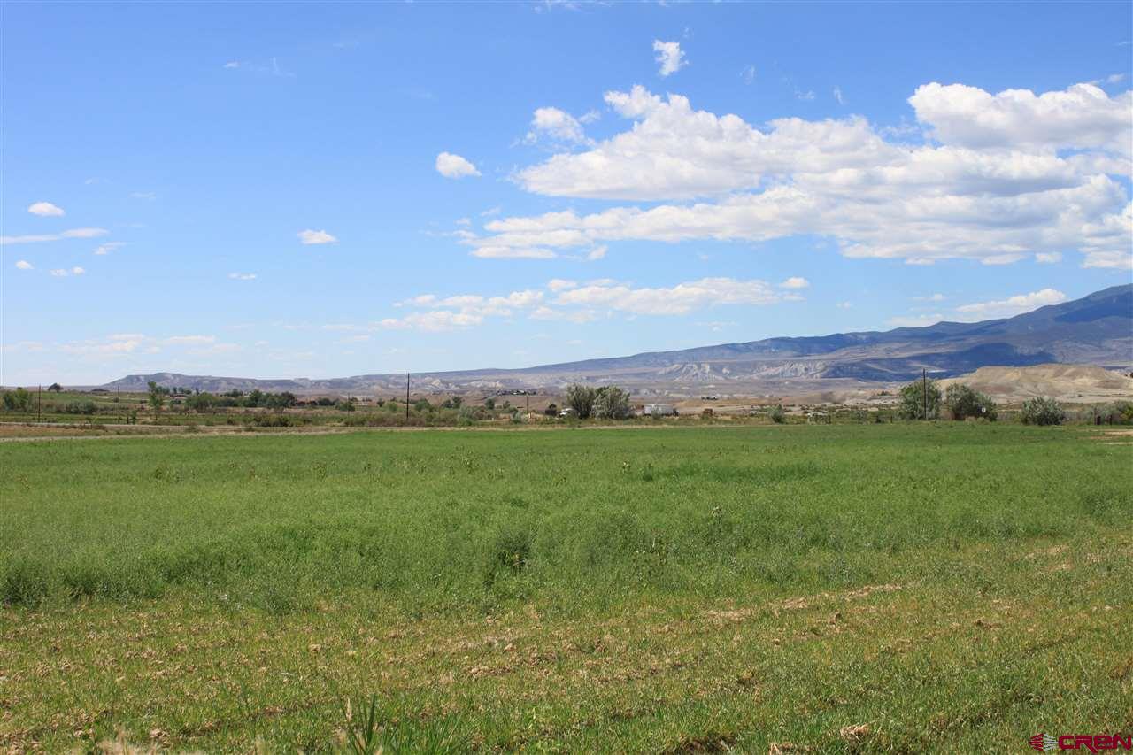 13580 25 Mesa Road Delta, CO 81416 - Photo 21 of 33 a view of green field with mountains in the background