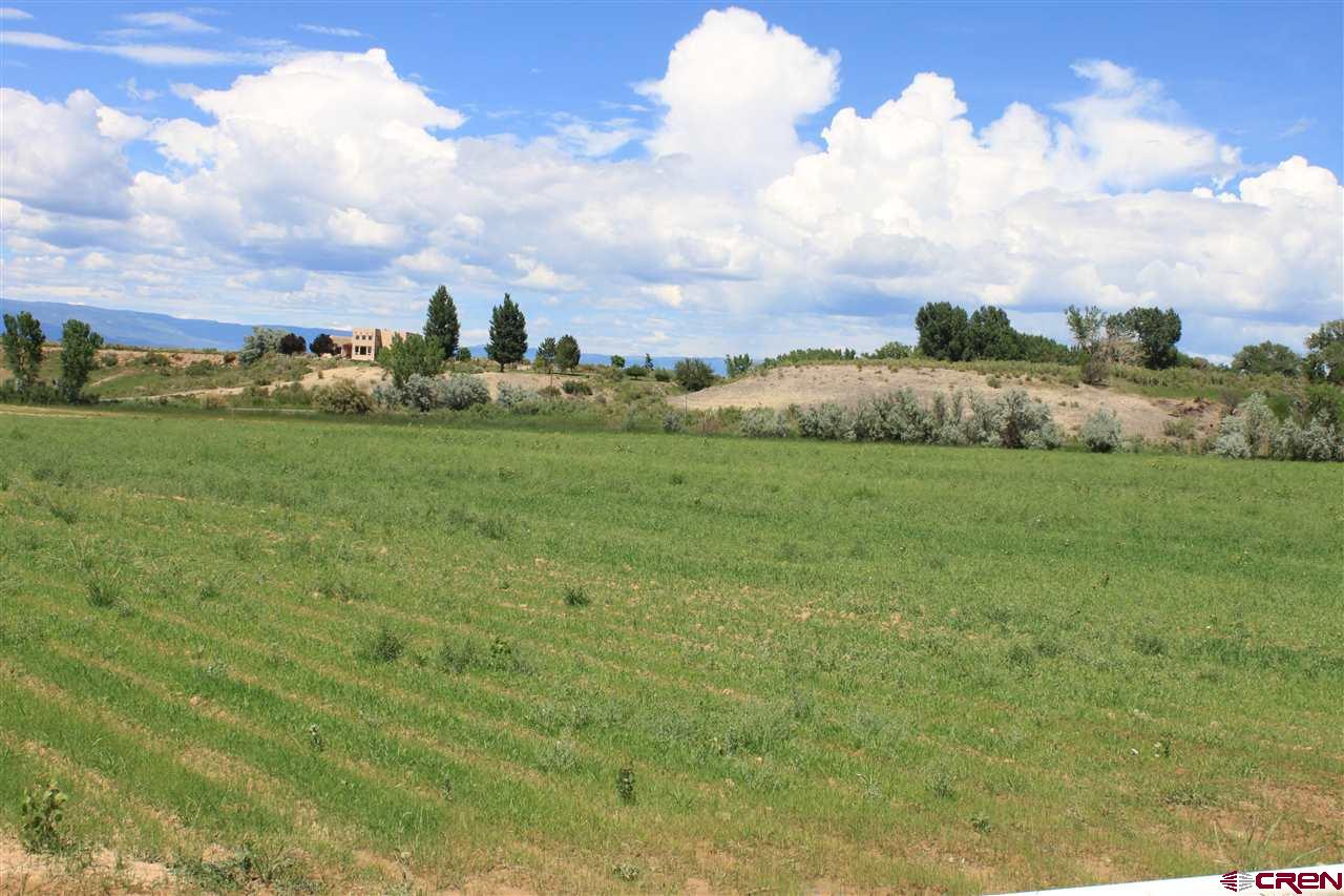 13580 25 Mesa Road Delta, CO 81416 - Photo 7 of 33