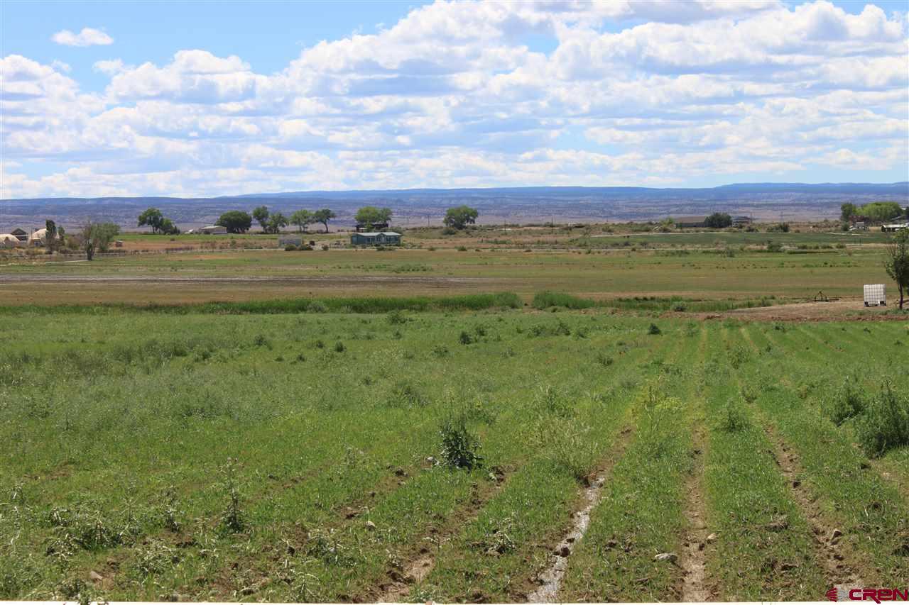 13580 25 Mesa Road Delta, CO 81416 - Photo 9 of 33 a view of a green field with lots of trees