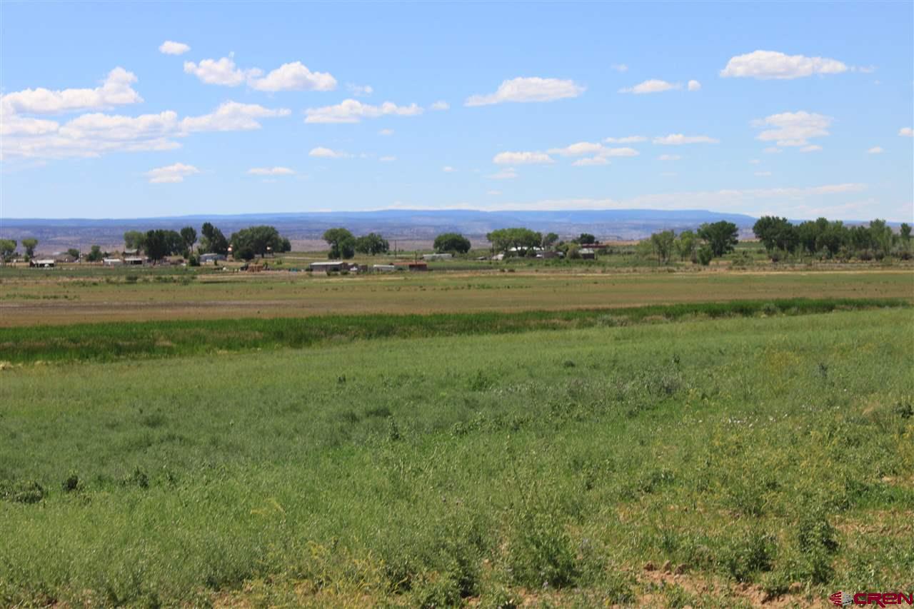 13580 25 Mesa Road Delta, CO 81416 - Photo 10 of 33 a view of an ocean and yard