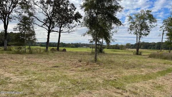 $650,000 | 0 Us-80 Forest, Forest, MS 39074