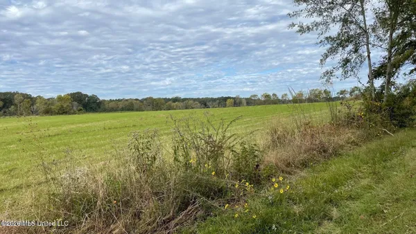 $650,000 | 0 Us-80 Forest, Forest, MS 39074