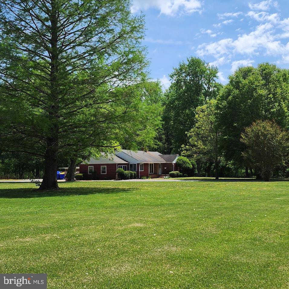 700 Canterbury Road Milford, DE 19963 - Photo 4 of 4 a view of a park with large trees