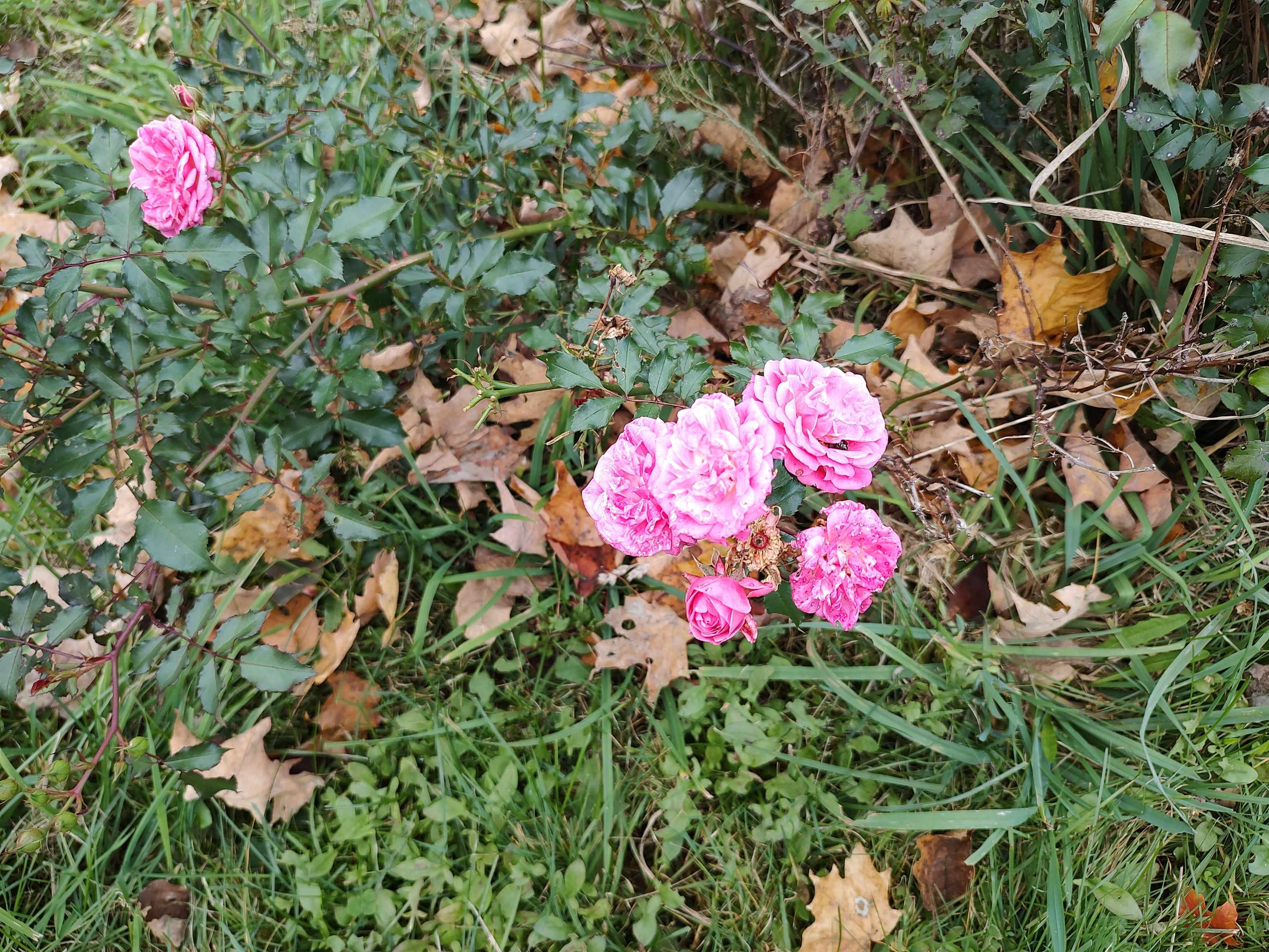 4898 Camp Brook Road Bethel, VT 05032 - Photo 7 of 31