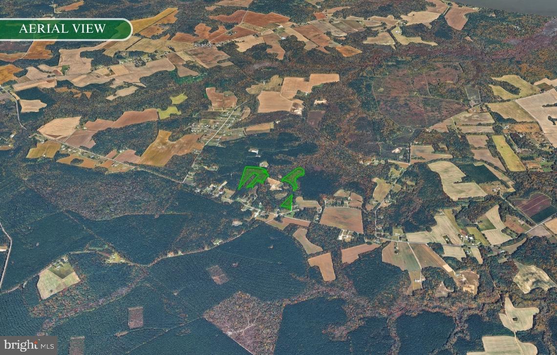 0 Golden Hill Road Surry, VA 23883 - Photo 15 of 20 a picture of tree